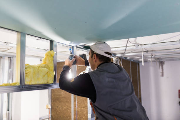 Best Insulation Installation Services in Belton, SC